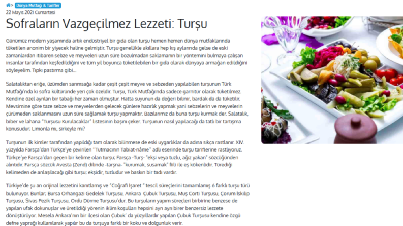 Sektörel yazılar