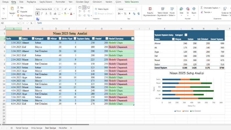 Aylık Satış Performans Analizi (Excel)