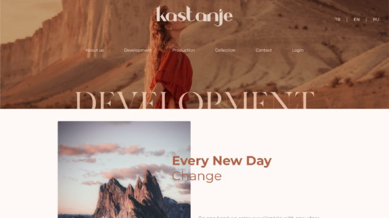 Website