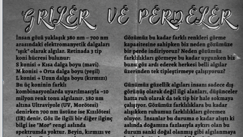 GRİLER VE PERDELER
