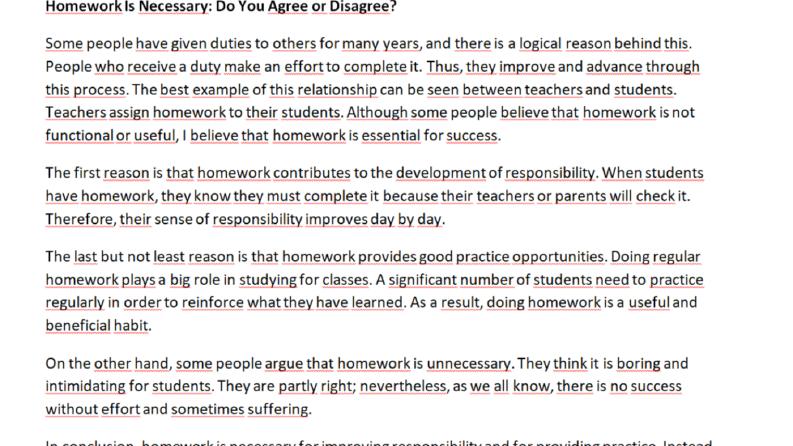 Essay üzerine örnekler