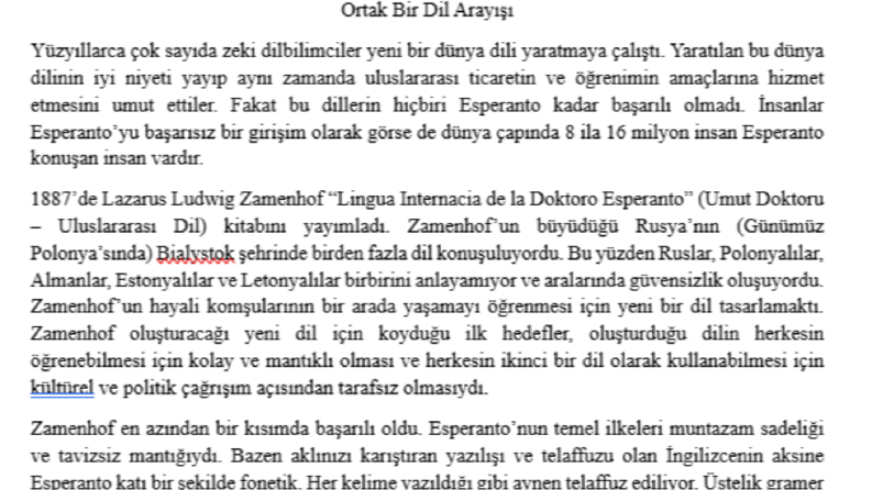 Lazarus Ludwig Zamenhof hakkındaki bir makalenin çevirisi