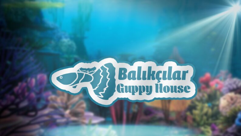 Balıkçılar Guppy House