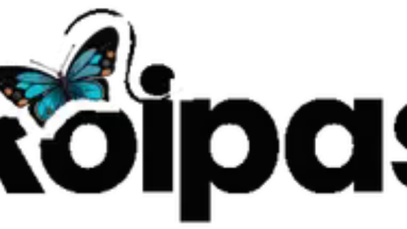 Roipas | Dijital Pazarlama ve Web Ajansı