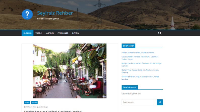 Wordpress Site tasarımı