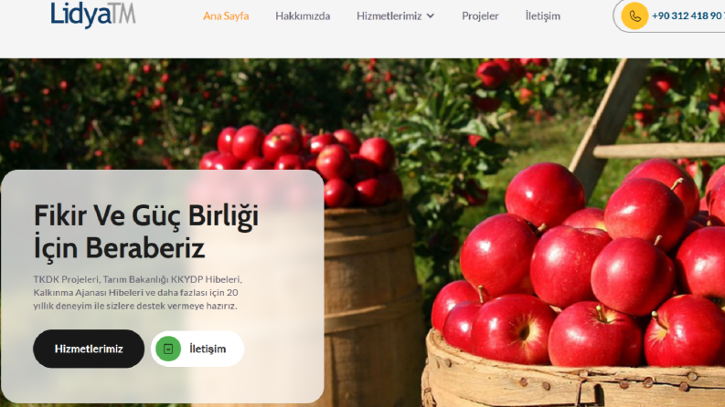 Lidya Danışmanlık - Web Site İçerikleri