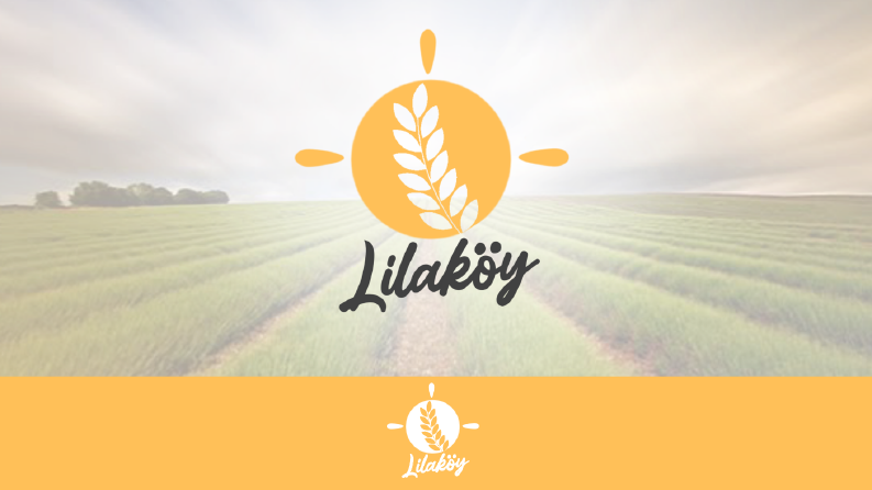 Örnek Logo Paketi