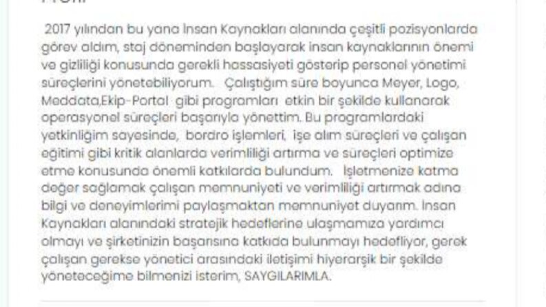 İnsan Kaynakları İş Hukuku, yönetici personel ilişkileri