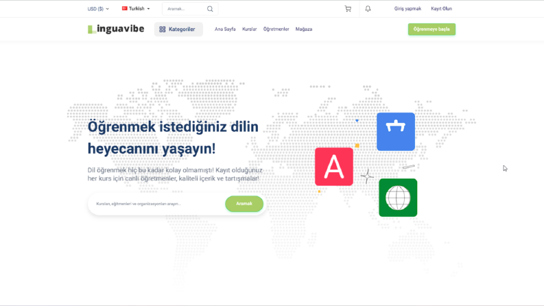 LinguaVibe