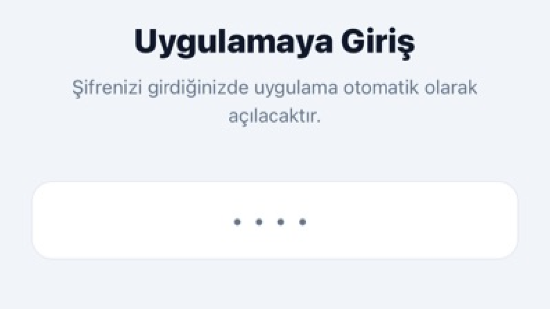 Özel yazılım 