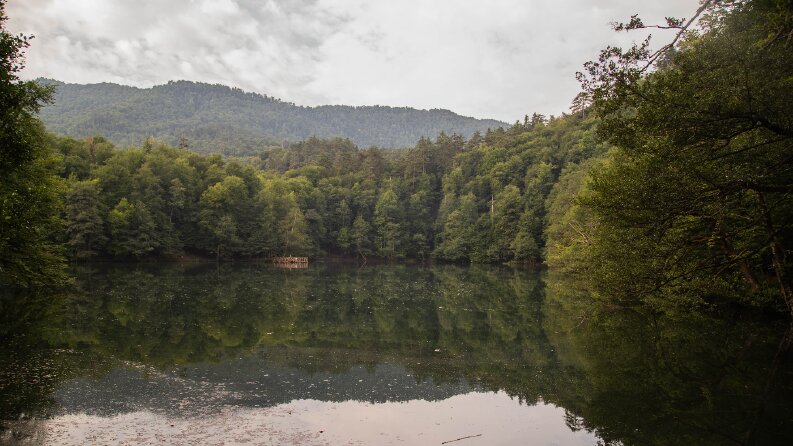 Fotoğraflar