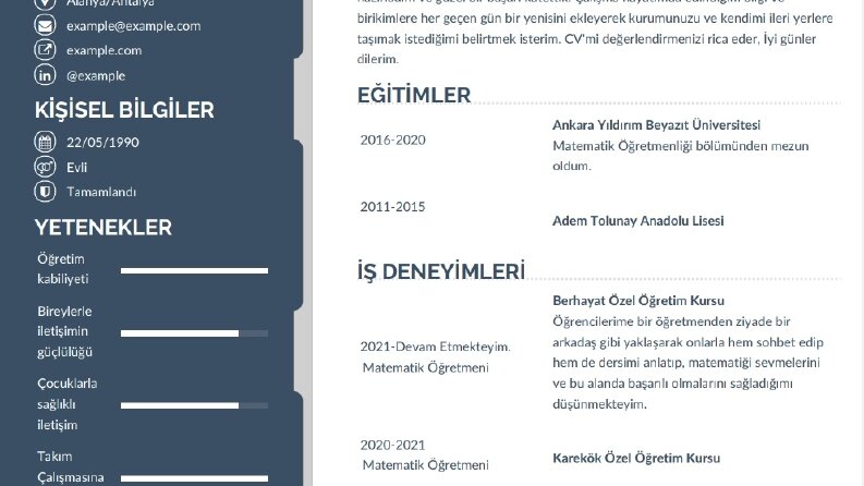 Göz Alıcı Cv Tasarımları 