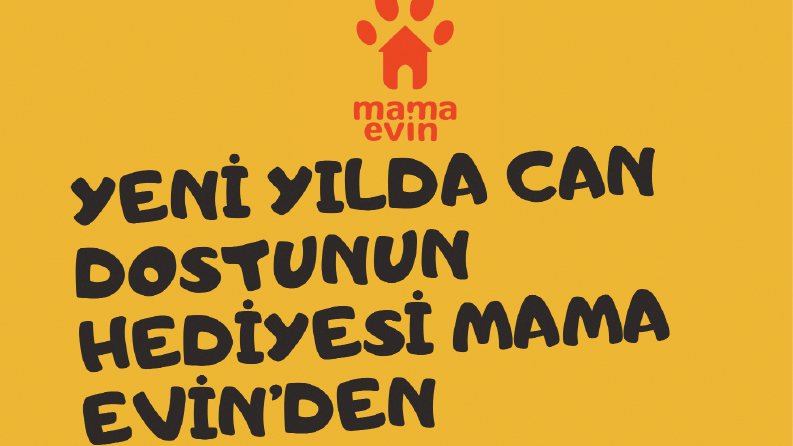 İş örneğim