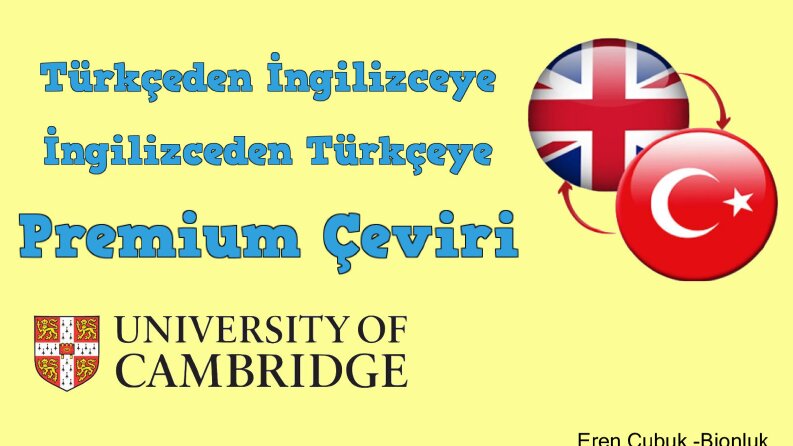 Çeviri Hizmetleri