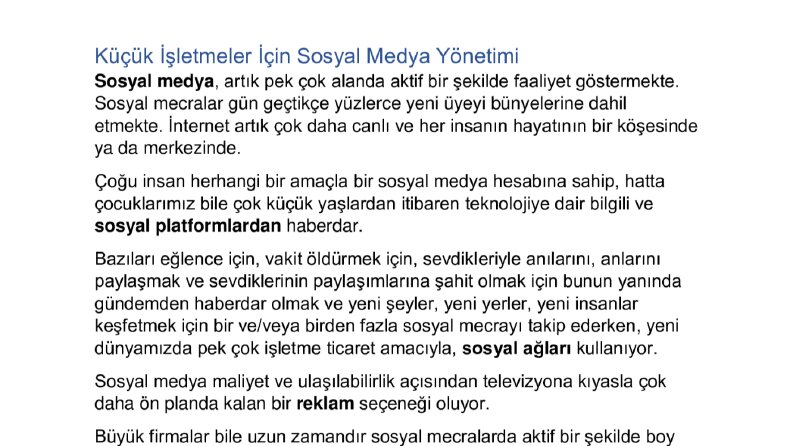 Küçük İşletmeler için Sosyal Medya Yönetimi