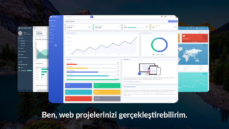 Web yazılım