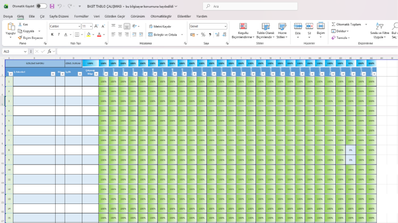 Excel, Word Profesyonel Destek