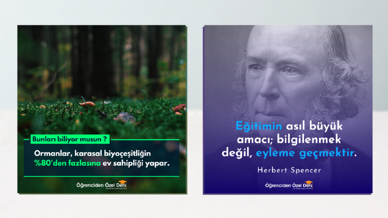 Yapılmış Örnek Tasarımlar