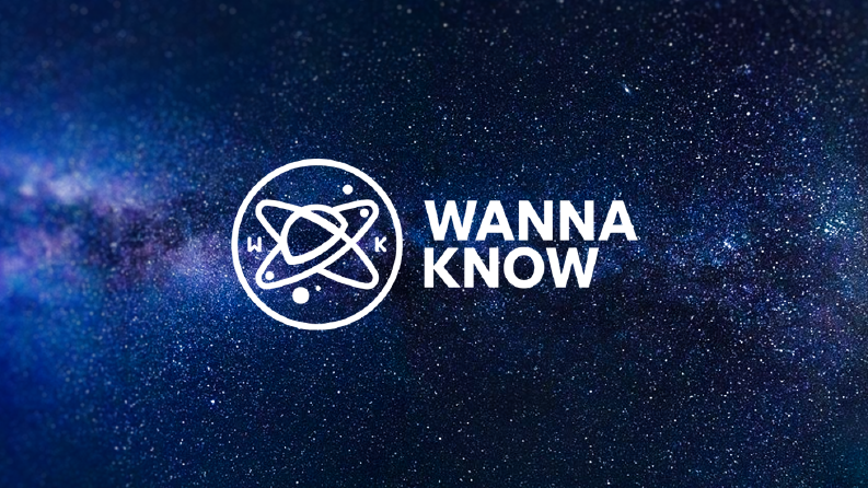 Wanna Know™  - Marka Kimliği Tasarımı