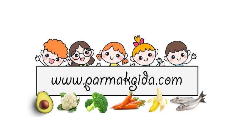 Parmakgida.com - SEO Çalışması