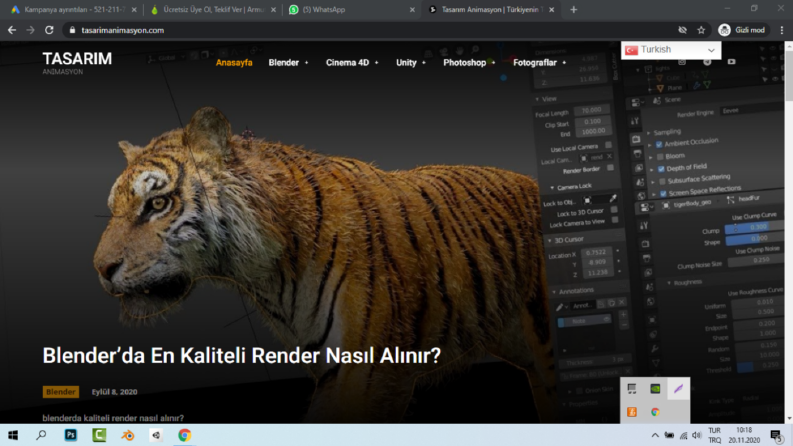 tasarimanimasyon.com Site Yapımı