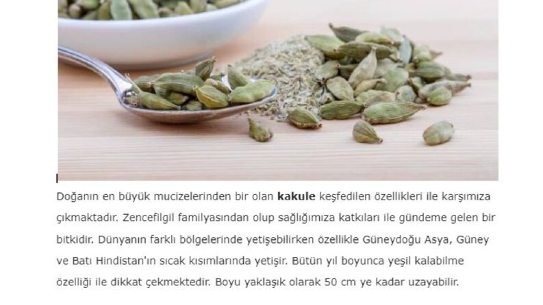 Özgün, Kaliteli ve SEO Uyumlu İçerikler!