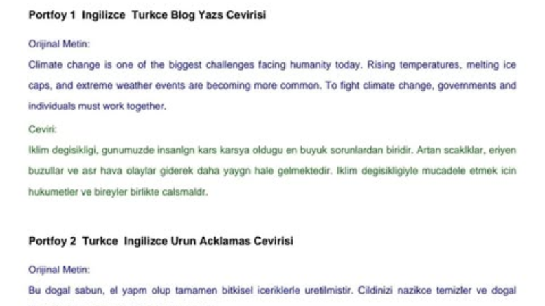 Yaratıcı ve Akıcı İngilizce - Türkçe Metin Çevirileri