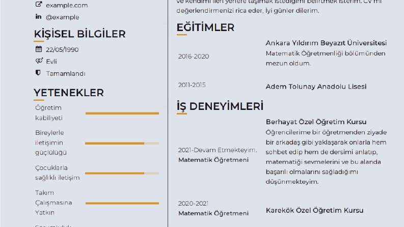 Göz Alıcı Cv Tasarımları 