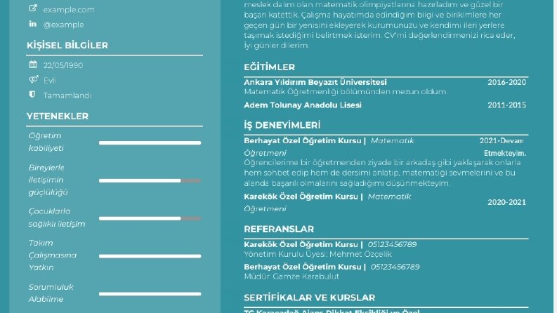 Cv Tasarımları 2