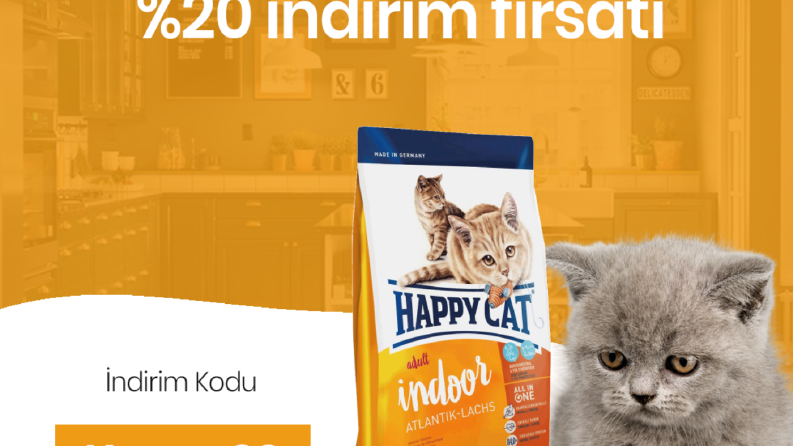 Sosyal Medya Tasarımı