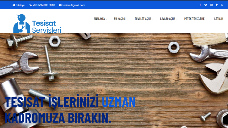 Profesyonel Web Tasarımı 