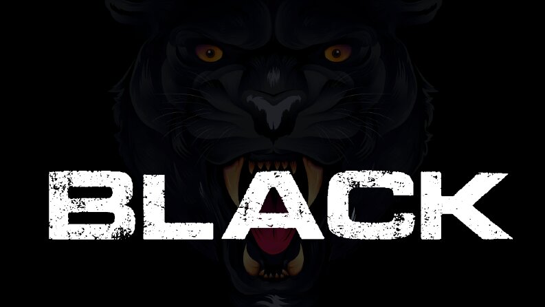 BLACK Enerji İçeceği