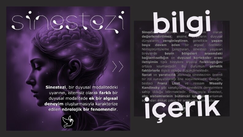 Bilgi İçerikli Görsel Tasarımı