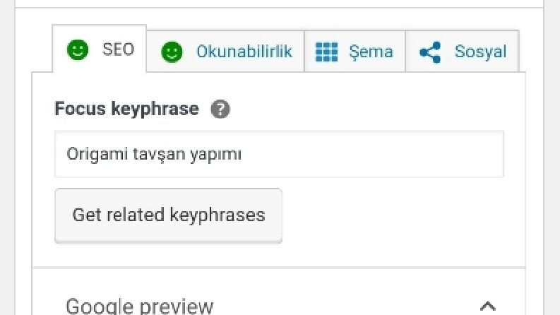 Web Sitemden SEO Uyumlu İçerik Örneği