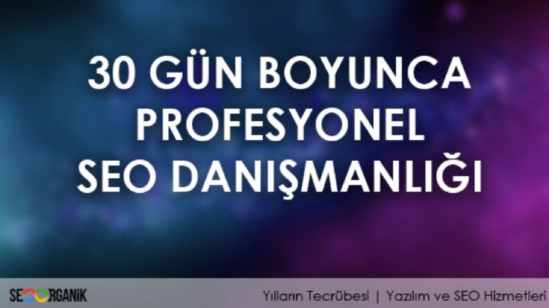 30 gün danışmanlık