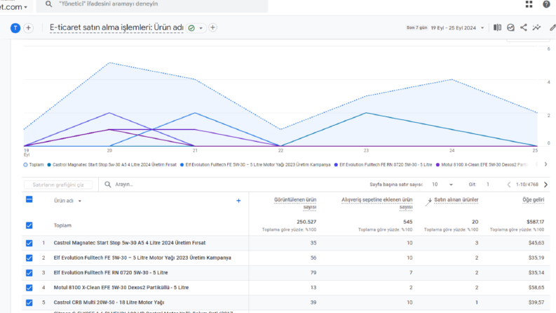 Google Analytics kurulum hizmeti (Araç Bakım Satan Eticaret)
