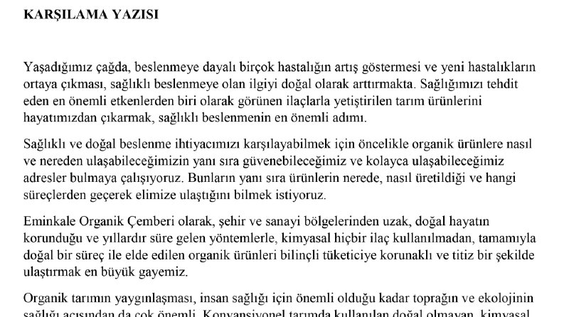 Web Sitesi İçeriği