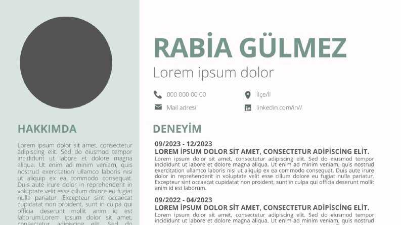 ATS UYUMLU CV