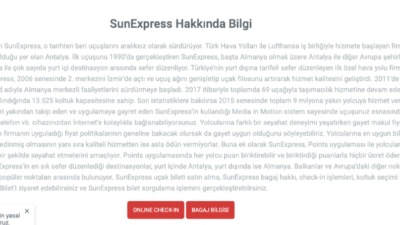 SEO Özgün İçerik Yazımı