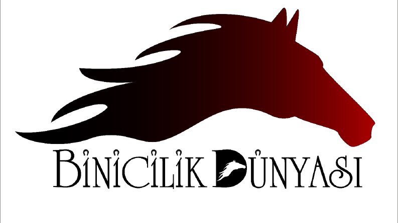 Tasarladığım Logolar