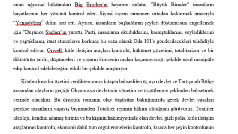 Bin Dokuz Yüz Seksen Dört İncelemesi