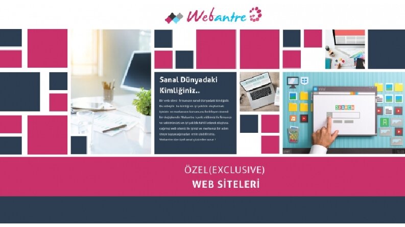 Web Tasarımı