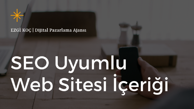 Web Sitesi İçeriği