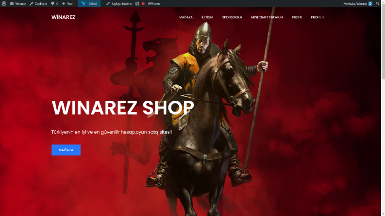 WinarezShop Web Site Tasarımı