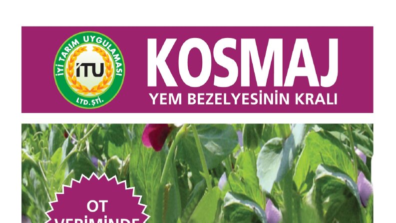 İş örneğim