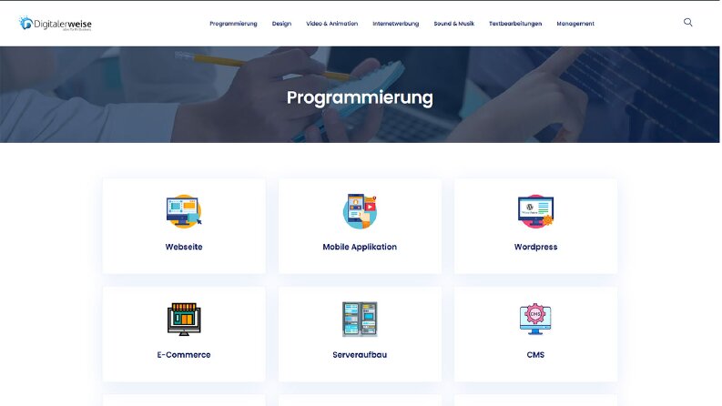 Digitalerweise website ve logo çalışması