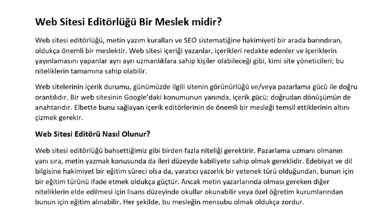 Web Sitesi Editörlüğü Bir Meslek midir?