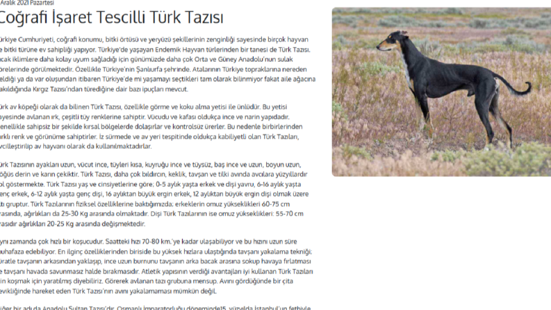 E ticaret sitesi Blog yazıları.