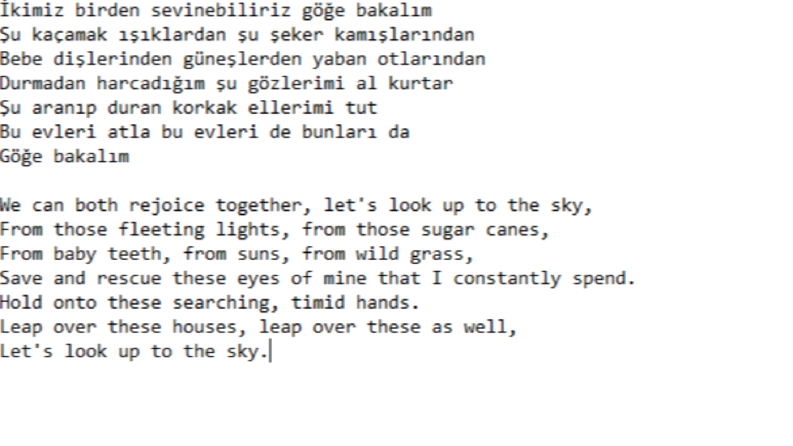 Şiir çevirim