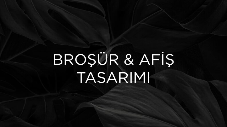 Broşür - Afiş Tasarımı